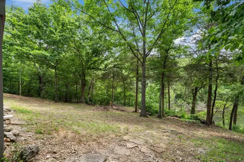 Exterior - 27278 Timber Springs Rd, Shell Knob, MO 65747 photo 3 of 8