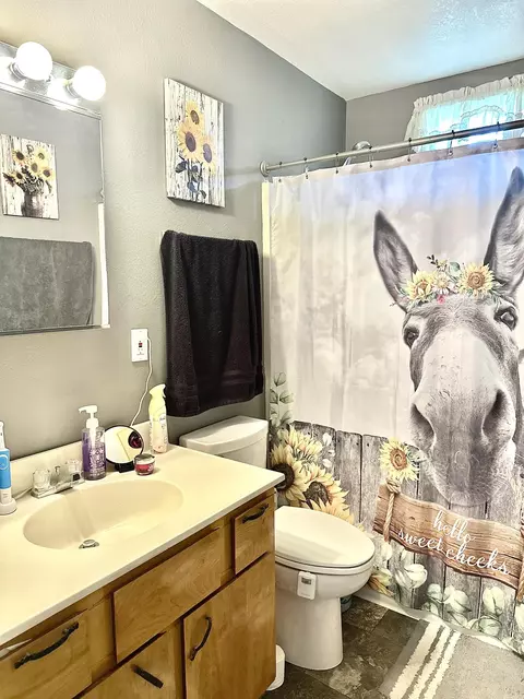 Bath - 508 Monroe St, Thayer, MO 65791 photo 1 of 2