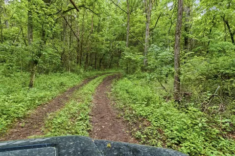 000 Highway M Success, Plato, MO 65552 photo 60