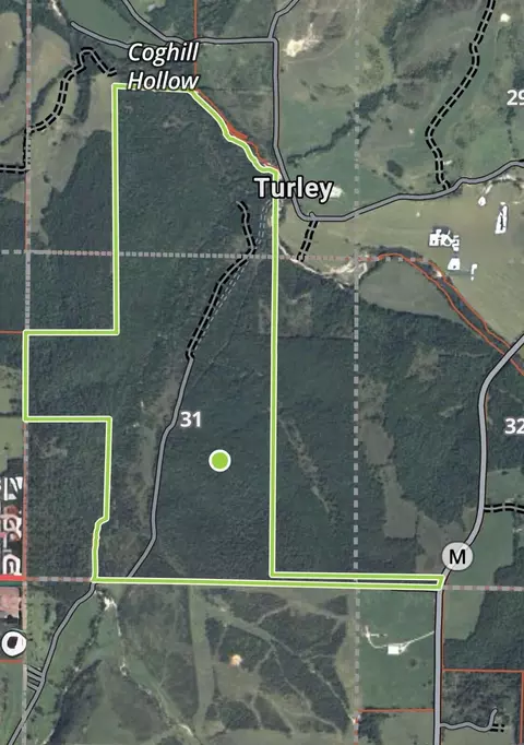 000 Highway M Success, Plato, MO 65552 photo 68