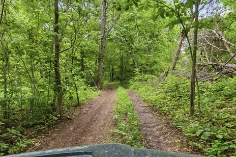 000 Highway M Success, Plato, MO 65552 photo 63
