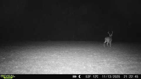 000 State Highway T, Branson, MO 65616 photo 25