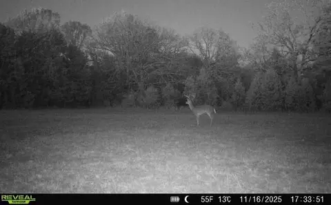 000 State Highway T, Branson, MO 65616 photo 24