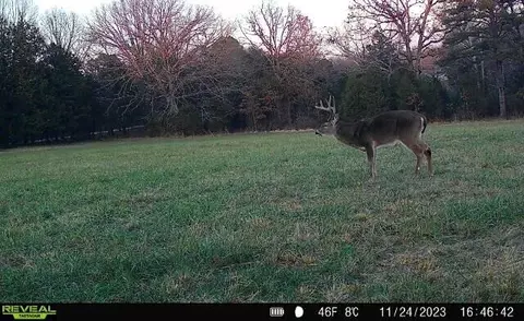 000 State Highway T, Branson, MO 65616 photo 33