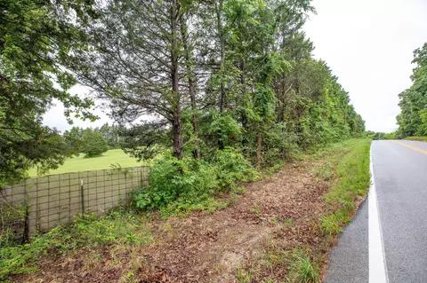 000 State Highway T, Branson, MO 65616 photo 5