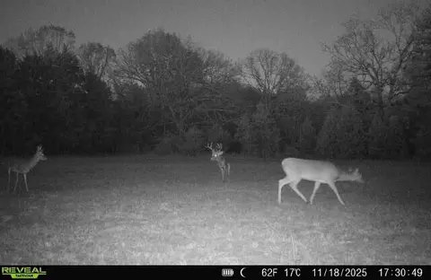 000 State Highway T, Branson, MO 65616 photo 21