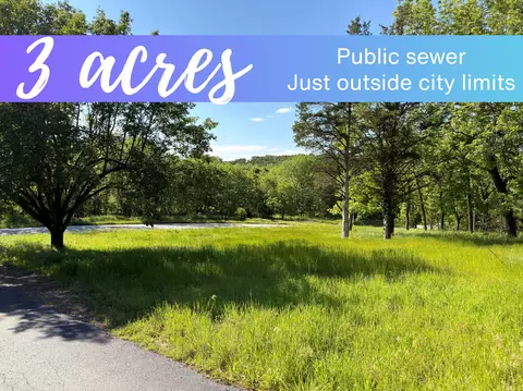 000 Fi Anna Ln, Ozark, MO 65721