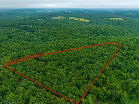 000 Co Rd 521 #TRACT 4, Hardenville, MO 65666