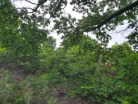 tbd N 325, Ava, MO 65608 photo 6