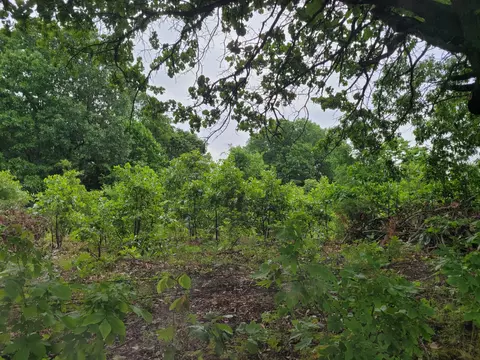 tbd N 325, Ava, MO 65608 photo 5