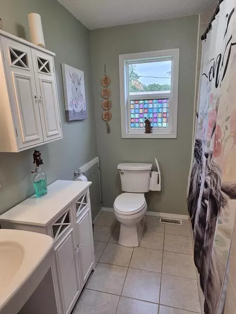 Bath - 201 S Everett St, Fair Play, MO 65649 photo 2 of 3