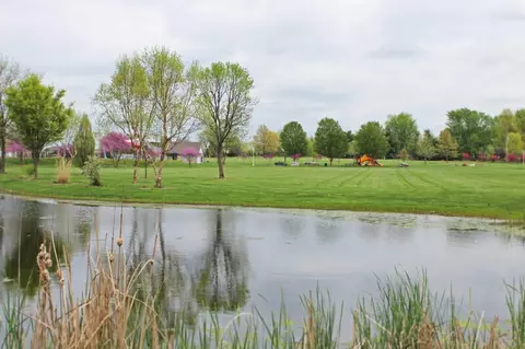 View/Area - 107 Dorcas Dr, Willard, MO 65781 photo 1 of 1