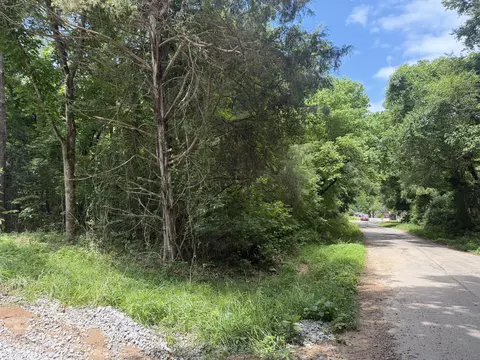 000 County Road 318 #LOT 4, Tecumseh, MO 65760