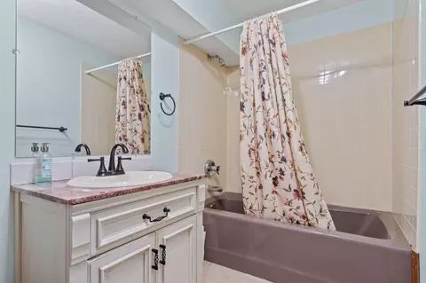 Bath - 1052 Broken Arrow Estates Rd, Lampe, MO 65681 photo 4 of 4
