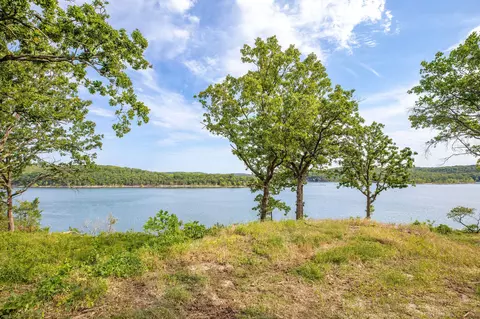 224 6th Ave, Ridgedale, MO 65739 photo 9