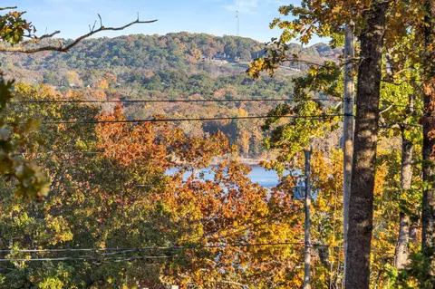 lot55 Locust Ln, Branson, MO 65616 photo 12