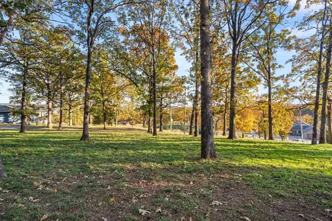 lot55 Locust Ln, Branson, MO 65616 photo 11