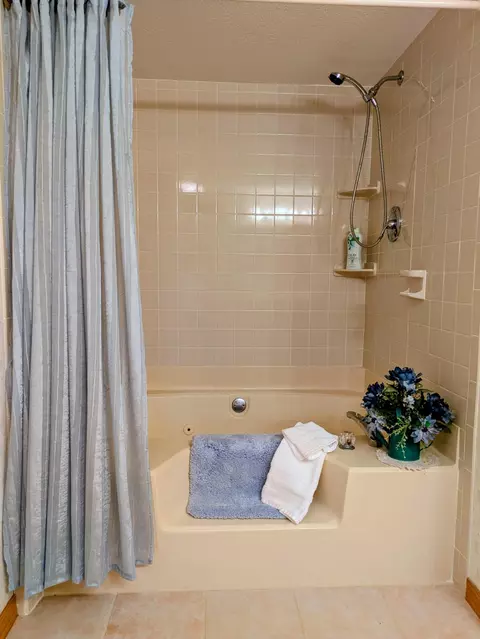 Bath - 150 Sunken Forest Drive B3-129, Forsyth, MO 65653 photo 6 of 6