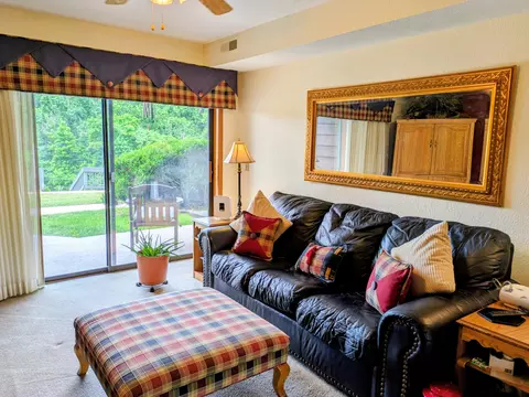 Living - 150 Sunken Forest Drive B3-129, Forsyth, MO 65653 photo 8 of 8