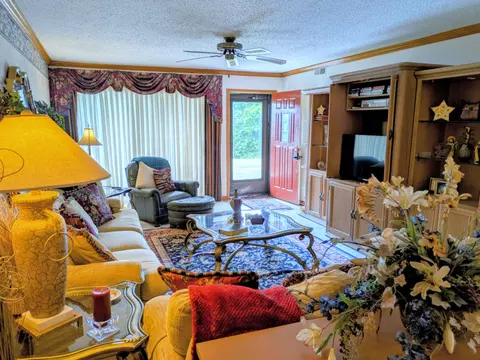 Living - 150 Sunken Forest Drive B3-129, Forsyth, MO 65653 photo 7 of 8