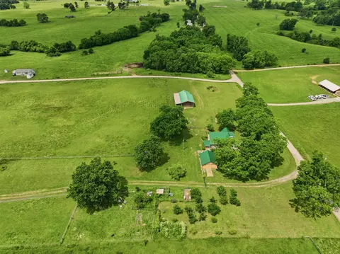 View/Area - 2886 County Road 382, Dora, MO 65637 photo 8 of 8