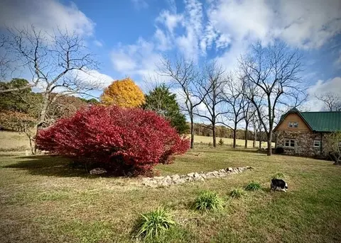 Exterior - 2886 County Road 382, Dora, MO 65637 photo 10 of 18