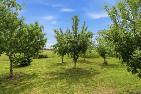 Exterior - 2886 County Road 382, Dora, MO 65637 photo 7 of 18