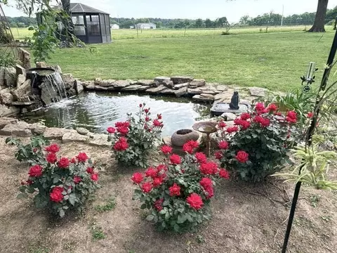 Exterior - 2886 County Road 382, Dora, MO 65637 photo 6 of 18