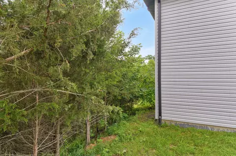 Exterior - 175 Sunrise Villa Dr, Branson, MO 65616 photo 7 of 10
