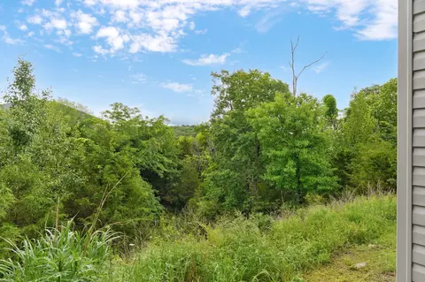Exterior - 175 Sunrise Villa Dr, Branson, MO 65616 photo 8 of 10