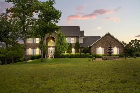 Exterior - 125 Meadowview Ln, Branson, MO 65616 photo 7 of 7