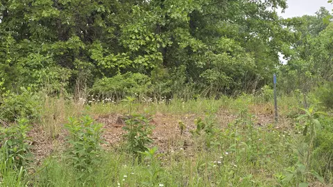 lot1 Hillcrest Ave, Cabool, MO 65689 photo 6