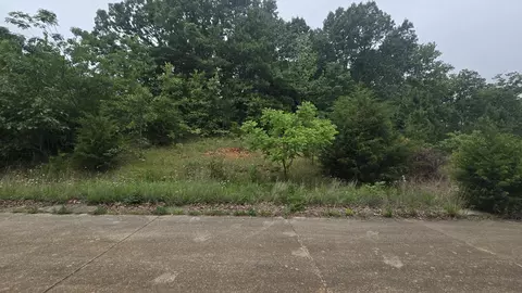 lot1 Hillcrest Ave, Cabool, MO 65689 photo 10