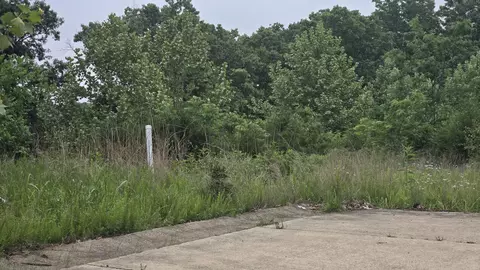 lot1 Hillcrest Ave, Cabool, MO 65689 photo 9