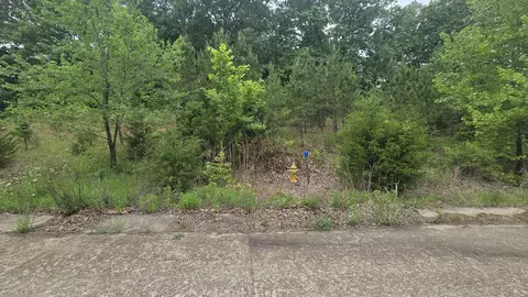 lot1 Hillcrest Ave, Cabool, MO 65689 photo 7