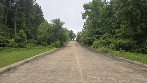 lot1 Hillcrest Ave, Cabool, MO 65689 photo 4