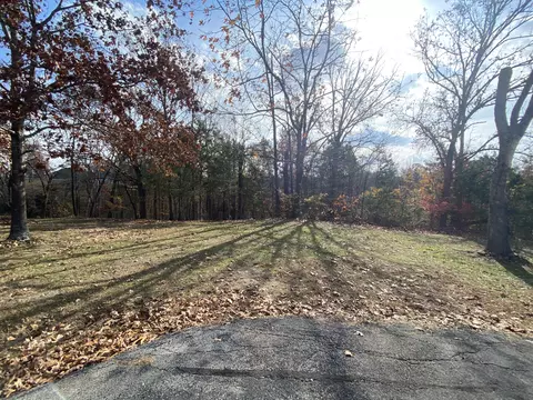 000 Seagull Ln, Cape Fair, MO 65624 photo 3