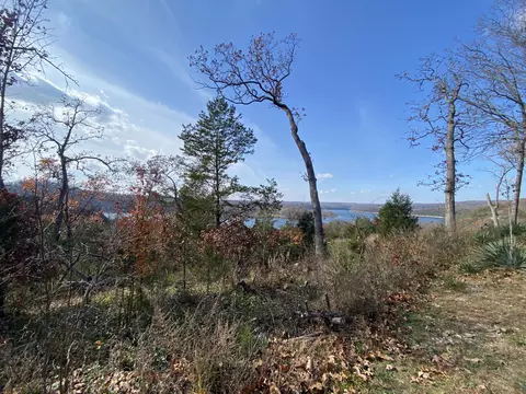 000 Seagull Ln, Cape Fair, MO 65624 photo 5