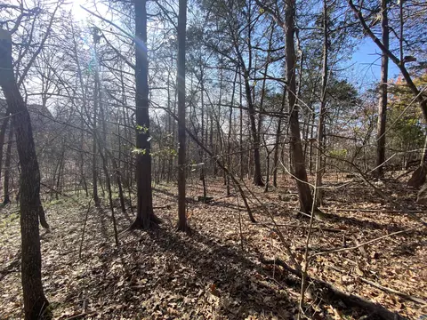000 Seagull Ln, Cape Fair, MO 65624