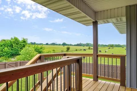 Exterior - 4787 Marseille St, Ozark, MO 65721 photo 4 of 10