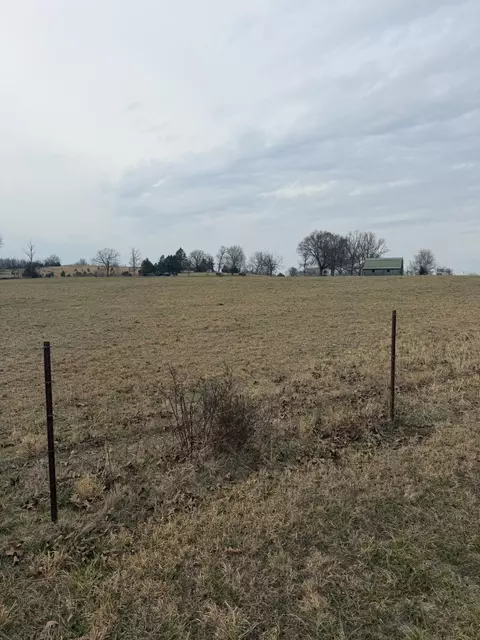141 County Road 329, Dora, MO 65637 photo 3