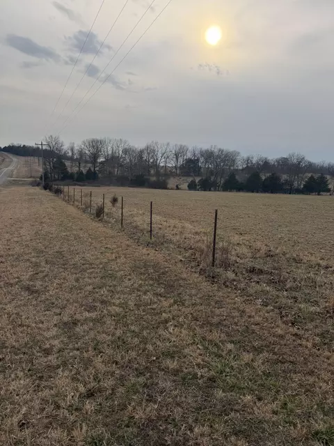 141 County Road 329, Dora, MO 65637 photo 2