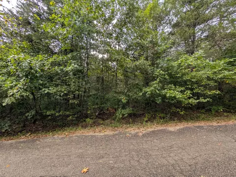 000 N Lot 296 Millstone St, Shell Knob, MO 65747 photo 2