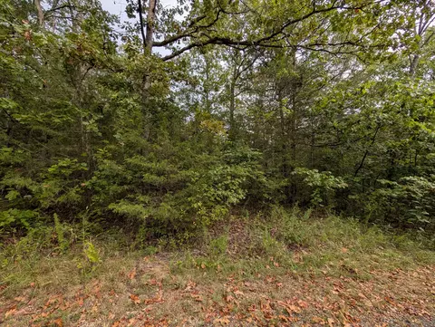 000 N Lot 296 Millstone St, Shell Knob, MO 65747 photo 4