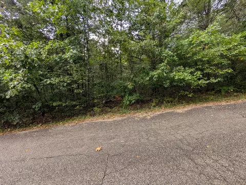 000 N Lot 296 Millstone St, Shell Knob, MO 65747 photo 3