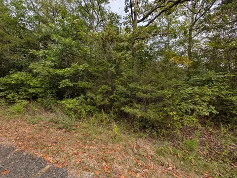 000 N Lot 296 Millstone St, Shell Knob, MO 65747 photo 5