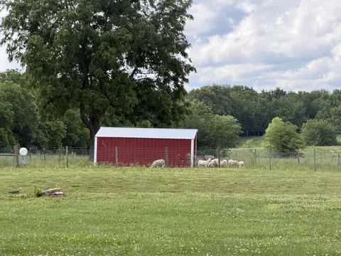 Other - 258 State Highway 32, Buffalo, MO 65622 photo 7 of 16