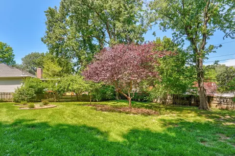 Exterior - 2157 E Cherryvale St, Springfield, MO 65804 photo 9 of 9