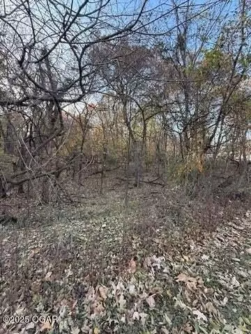 4506 Shady Ln, Joplin, MO 64804