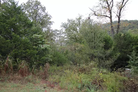 lot3 Silver Oak Way, Branson West, MO 65737